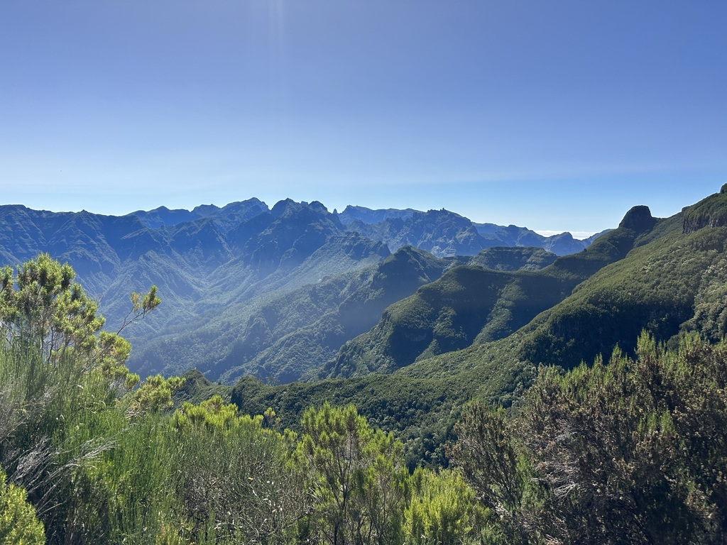 Madeira landscape